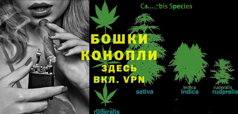 Бошки марихуана Ganja  как найти закладки  darknet Telegram  Змеиногорск 